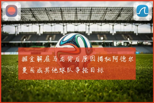 掘金解雇马龙背后原因揭秘阿德尔曼或成其他球队争抢目标
